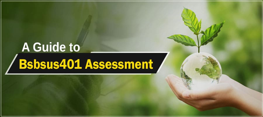 Bsbsus401 Assessment Answers